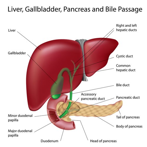 Gallbladder treatment in Dubai